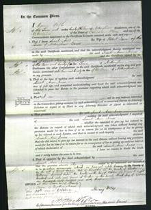 Court of Common Pleas - Sarah Ann Jones-Original Ancestry