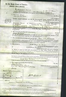 Court of Common Pleas - Eliza McCrea-Original Ancestry