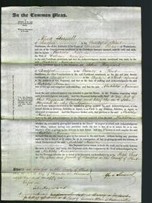 Court of Common Pleas - Matilda Newman-Original Ancestry