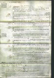 Court of Common Pleas - Josephine Codrington Dobree-Original Ancestry