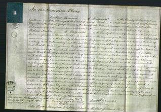 Court of Common Pleas - Eliza James-Original Ancestry