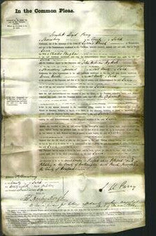 Court of Common Pleas - Lucia Vaughan-Original Ancestry