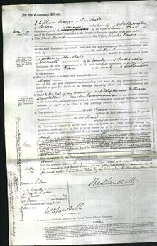 Court of Common Pleas - Harriet Pearson-Original Ancestry