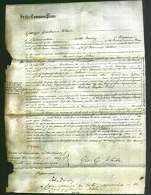 Court of Common Pleas - Ann Jollow-Original Ancestry