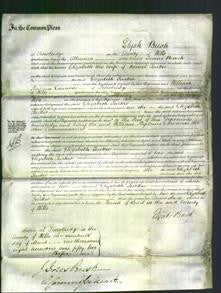 Court of Common Pleas - Elizabeth Tucker-Original Ancestry