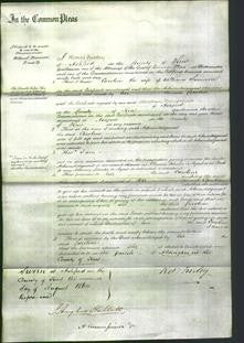 Court of Common Pleas - Caroline Samson-Original Ancestry