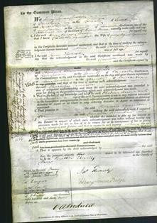 Court of Common Pleas - Charlotte Symmons-Original Ancestry