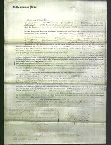 Court of Common Pleas - Ann Bott-Original Ancestry