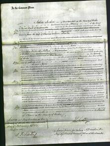 Court of Common Pleas - Anne Marlin-Original Ancestry