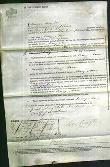 Court of Common Pleas - Mary Ann Padfield-Original Ancestry