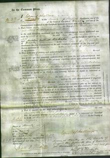 Court of Common Pleas - Ann Walker and Mary Hill-Original Ancestry