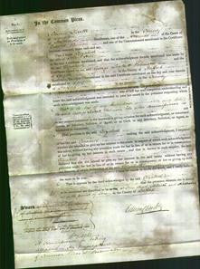 Court of Common Pleas - Elizabeth Hill-Original Ancestry