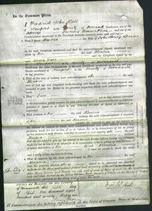 Court of Common Pleas - Honoria Spencer-Original Ancestry