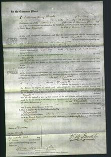 Court of Common Pleas - Elizabeth Morris-Original Ancestry