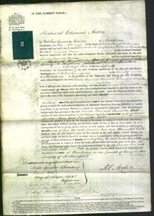 Court of Common Pleas - Louisa Ann Pereira and Henrietta Webb Pereira-Original Ancestry