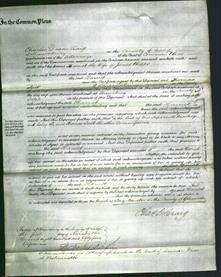 Court of Common Pleas - Harriet Phipps-Original Ancestry