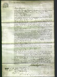 Court of Common Pleas - Frances Ann Vigne-Original Ancestry