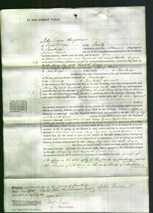 Court of Common Pleas - Mary Coy and Elizabeth Graves-Original Ancestry