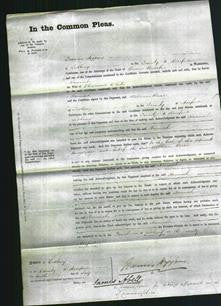 Court of Common Pleas - Hannah White-Original Ancestry