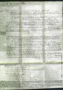 Court of Common Pleas - Elizabeth Nevill-Original Ancestry