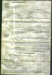 Court of Common Pleas - Mary Young-Original Ancestry