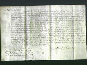 Court of Common Pleas - Elizabeth Wausey-Original Ancestry