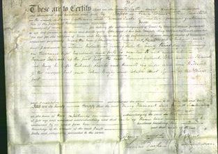 Deed by Married Women - Mary Hamank and Harriet Searle-Original Ancestry