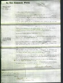 Court of Common Pleas - Mary Randell-Original Ancestry