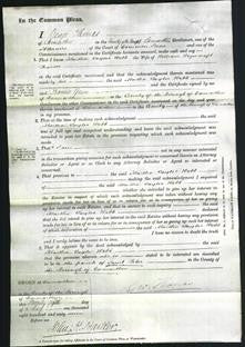 Court of Common Pleas - Martha Taylor Webb Prosser-Original Ancestry