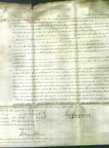 Court of Common Pleas - Elizabeth Vaglar-Original Ancestry