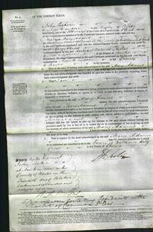 Court of Common Pleas - Mary Adams-Original Ancestry