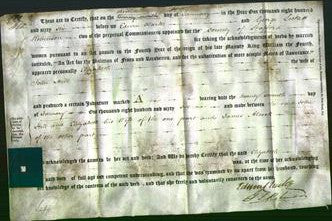 Deed by Married Women - Elizabeth Hill-Original Ancestry