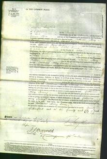 Court of Common Pleas - Catherine Mary Living-Original Ancestry