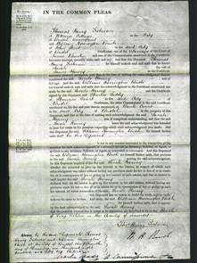 Court of Common Pleas - Sarah Harvey-Original Ancestry
