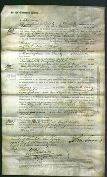 Court of Common Pleas - Ann Allen, Elizabeth Gardener, Mary Hazel and Rachel Hall-Original Ancestry