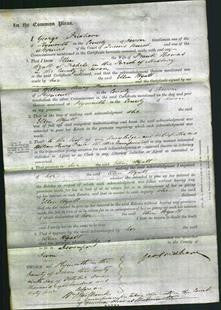 Court of Common Pleas - Ellen Wyatt-Original Ancestry