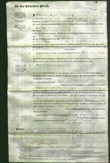 Court of Common Pleas - Emma Jane Tribe-Original Ancestry