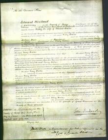 Court of Common Pleas - Mary Wallis-Original Ancestry