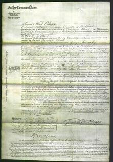 Court of Common Pleas - Hannah Cheek-Original Ancestry