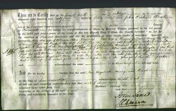 Deed by Married Women - Ann Allen, Elizabeth Gardener, Mary Hazel and Rachel Hall-Original Ancestry