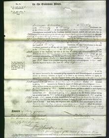 Court of Common Pleas - Rebecca Cox, Maria Cox, Eliza Simpson and Mary Anne Leeke-Original Ancestry