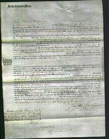 Court of Common Pleas - Elizabeth Whitehead Pace-Original Ancestry
