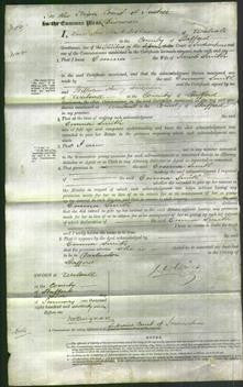 Court of Common Pleas - Emma Smith-Original Ancestry