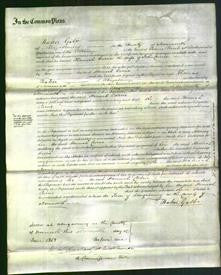 Court of Common Pleas - Hannah Currie-Original Ancestry