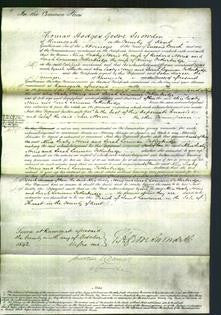 Court of Common Pleas - Alice Saxby Norris and Sarah Lariman Petherbridge-Original Ancestry