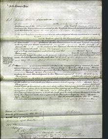 Court of Common Pleas - Agnes Thompson-Original Ancestry