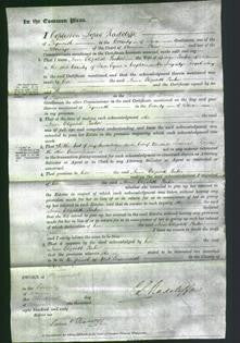 Court of Common Pleas - Anne Elizabeth Parker-Original Ancestry