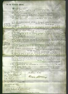 Court of Common Pleas - Elizabeth Williams-Original Ancestry