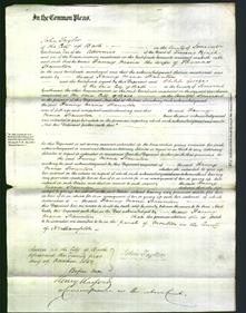 Court of Common Pleas - Fanny Maria Staunton