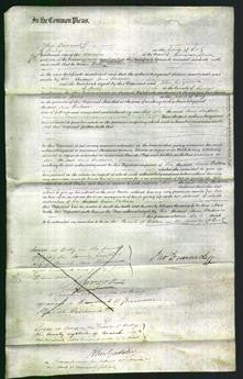 Court of Common Pleas - Ann Watson-Original Ancestry